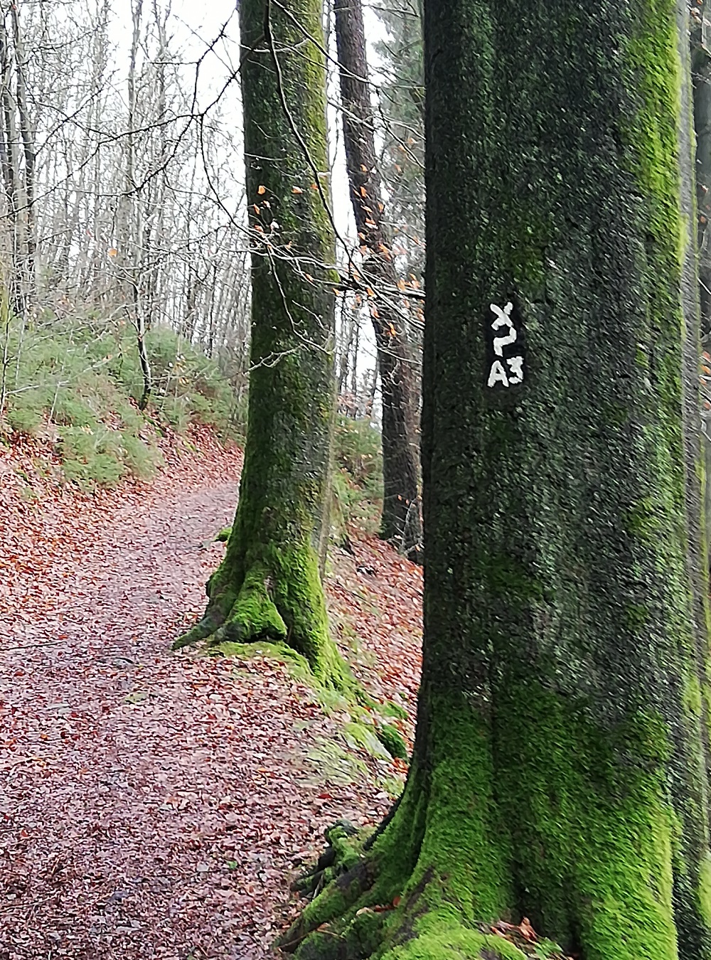 Am ehemaligen Sammelteich