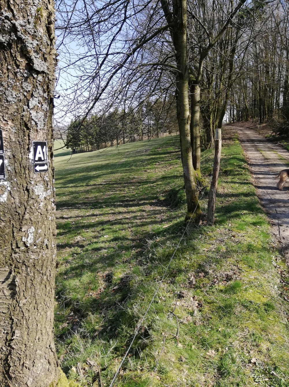 bei Muhle