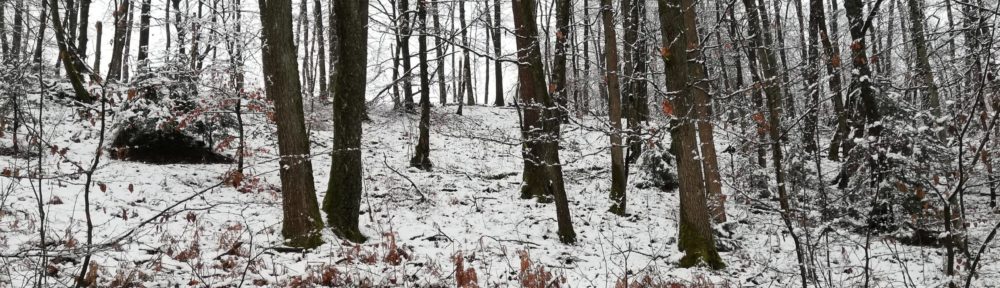 SGV Rummenohl-Priorei e.V.