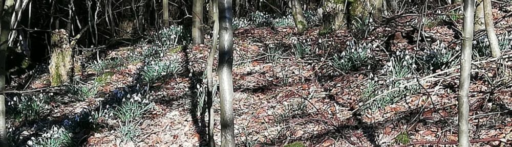 SGV Rummenohl-Priorei e.V.